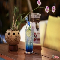 Thu Nguyễn Coffee
